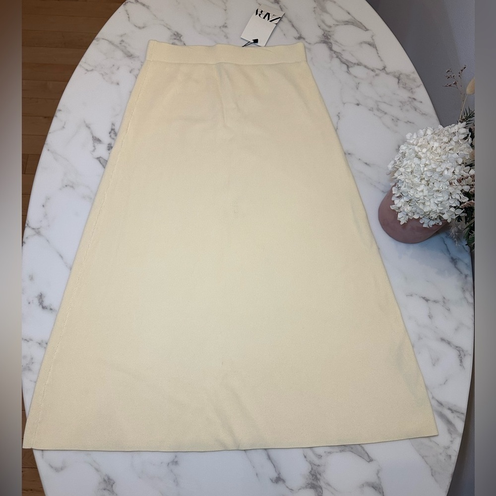 Zara Skirt​​​
